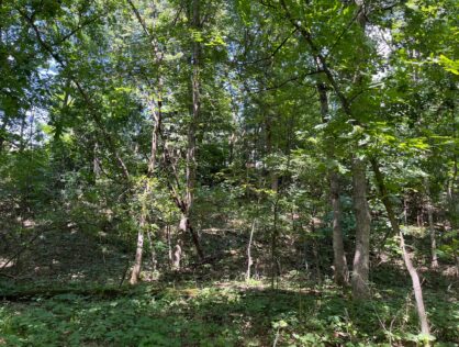 L6450 - Arkdale Area Wooded 2.47 Acres