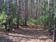 L6460 - Wisconsin Dells Tall Pines Wooded Lots