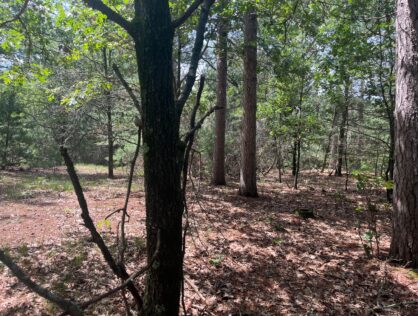 L6495 - Castle Rock Lake