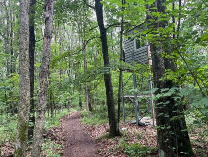 L6497 - Ten Acres 6th Ave
