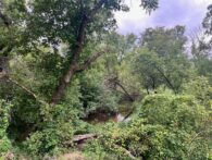 L6504 - Westfield 4.44 Acres on Creek