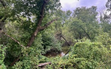 L6504 - Westfield 4.44 Acres on Creek