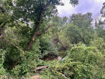 L6504 - Westfield 4.44 Acres on Creek