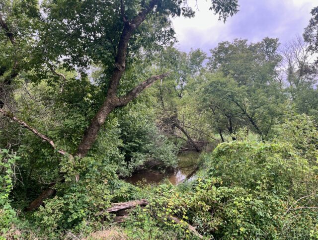 Westfield 4.44 Acres on Creek