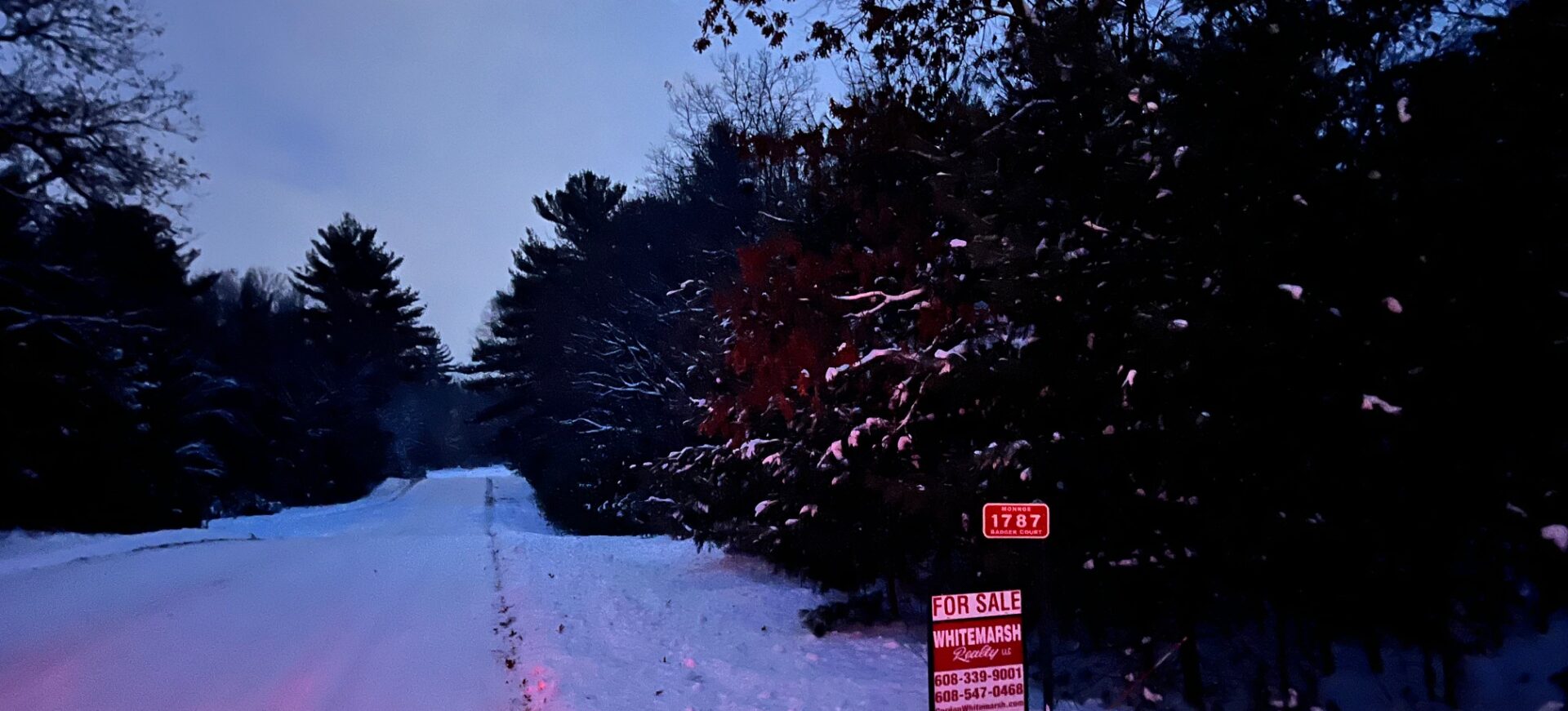 Petenwell Lake Badger Court