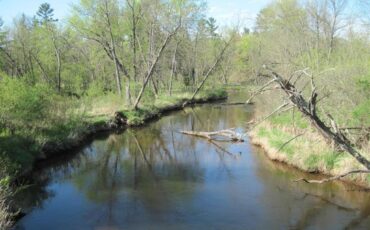 L6511 - Trout Stream 19+ Acres