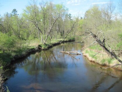 L6511 - Trout Stream 19+ Acres