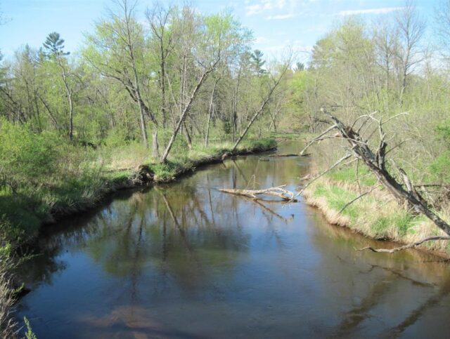 Trout Stream 19+ Acres