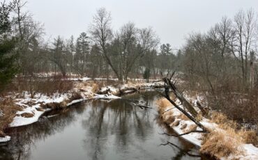 L6511 - Trout Stream 19+ Acres