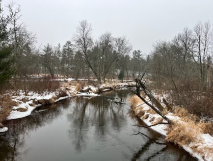 L6511 - Trout Stream 19+ Acres