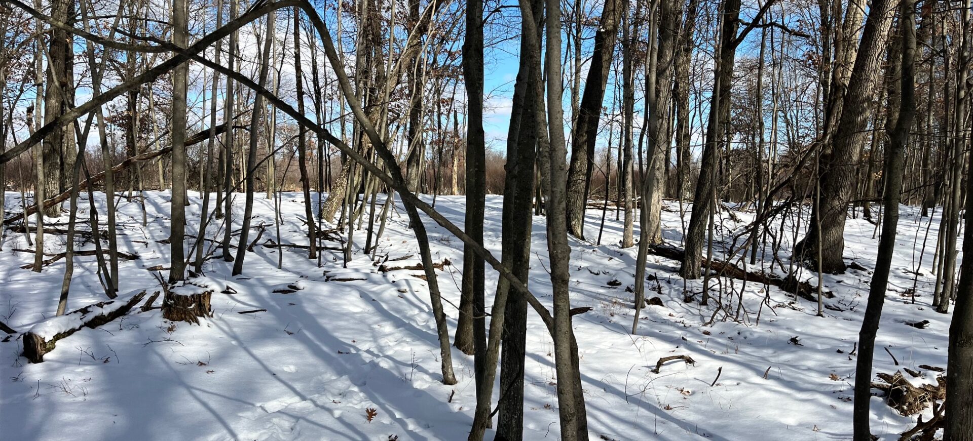 Chicago Ave 18 Acres