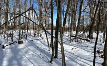 L6511 - Chicago Ave 18 Acres