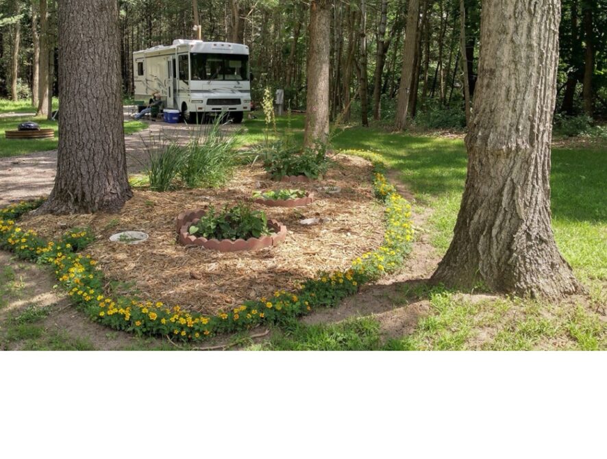 Adams 4 0325 2026 garden