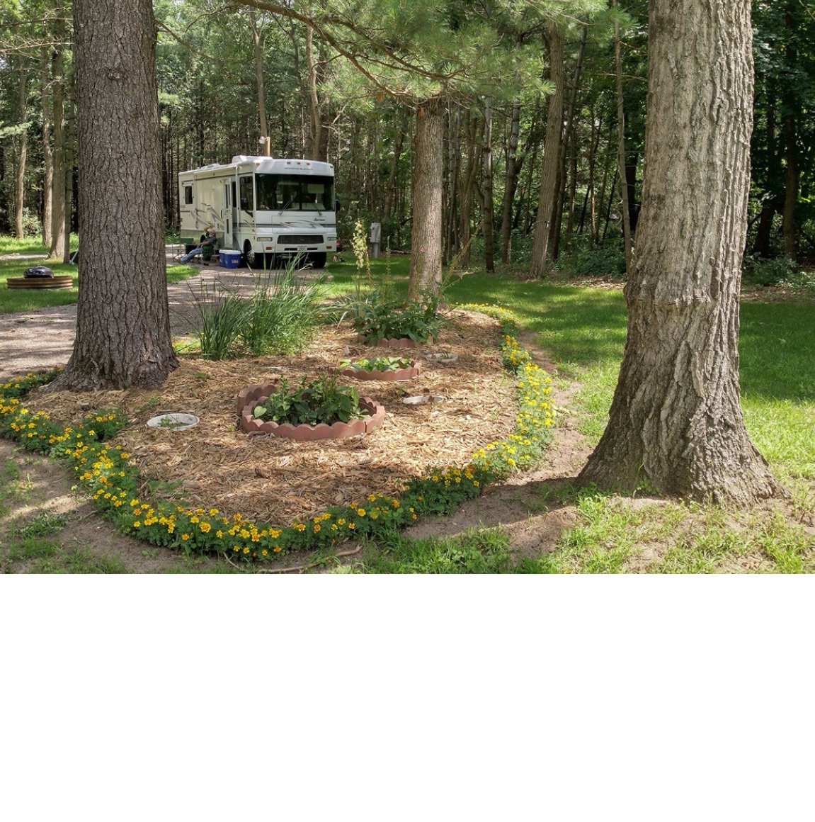 Adams 4 0325 2026 garden