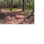 Adams 5 0325 2026 drive way
