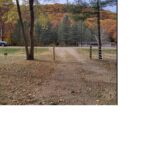 Adams 6 0325 2026 Fall