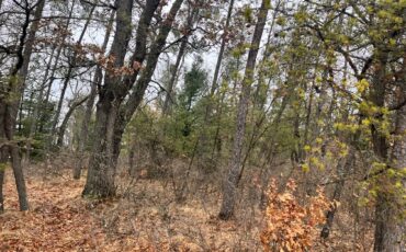 L6514 - 5.99 Wooded Acres