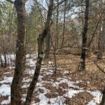 IMG_8676