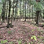 IMG_0003