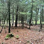 IMG_0007
