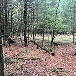 IMG_0008