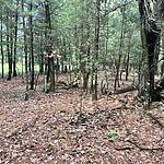 IMG_0009