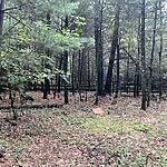 IMG_0011