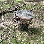 IMG_0016