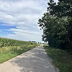 IMG_0017