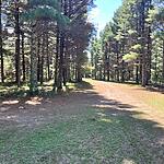 IMG_0076