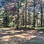 IMG_0077