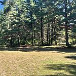 IMG_0078