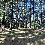 IMG_0085
