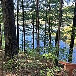 IMG_0092