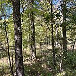 IMG_0147