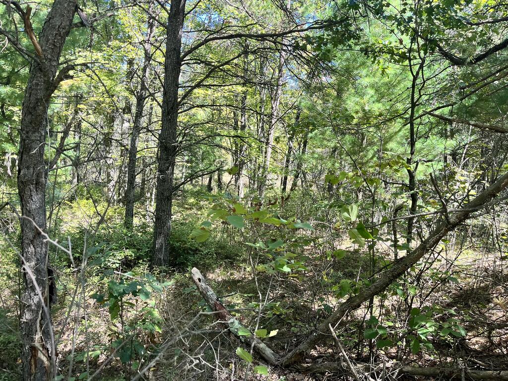 IMG_0148