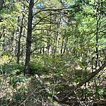 IMG_0148
