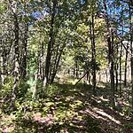 IMG_0149