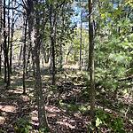 IMG_0150
