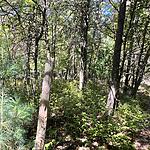 IMG_0151