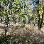 IMG_0153