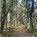 IMG_0202