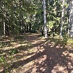IMG_0203