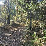 IMG_0204