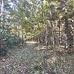 IMG_0205