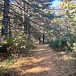 IMG_0207
