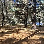 IMG_0208