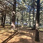 IMG_0209