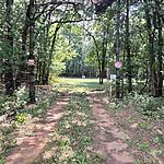 IMG_9954
