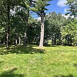 IMG_9960